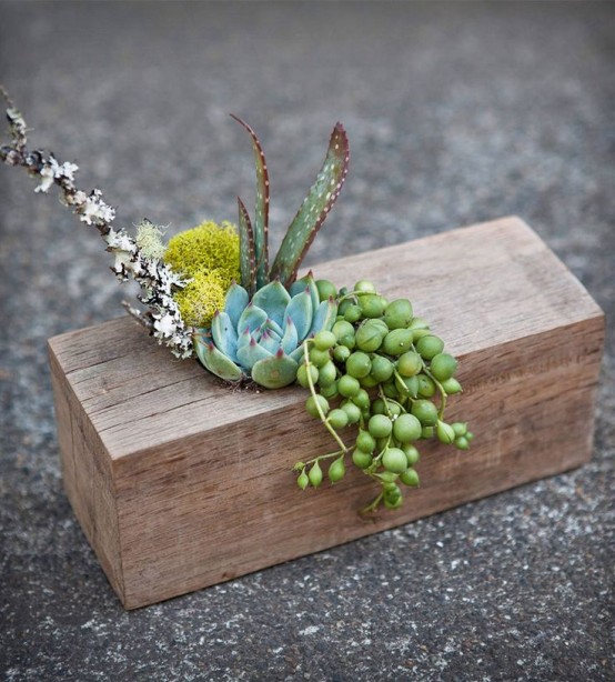 a piece of wood with succulents, moss, berries and feathers is a very artistic centerpiece or decoration