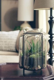 a tall jar as a planter with succulents of various types is a cool modern decoration to try