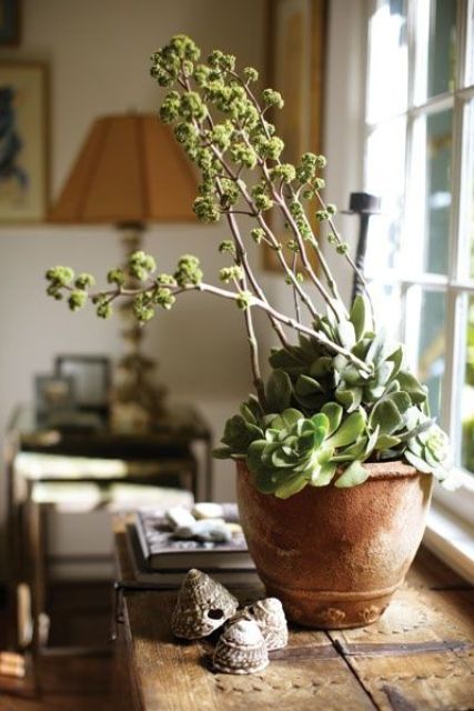 a planter with succulents and tall plants is a stylish idea - that height difference makes the piece look cool