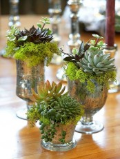 vintage mercury glasses with moss and succulents are very cute and chic decorations for any space