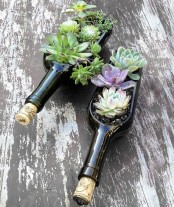 wine bottles used as planters for succulents are a very original idea, they will give a relaxed feel to the space