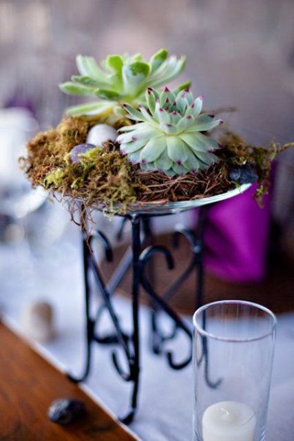 a bowl with succulents and hay on a tall stand is a very stylish and bold decoration or centerpiece