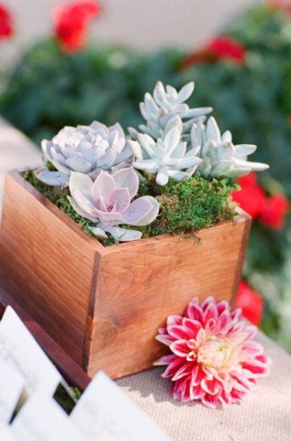 a wooden box with succulents and moss is a stylish decoration for your space that will bring a rustic feel to it
