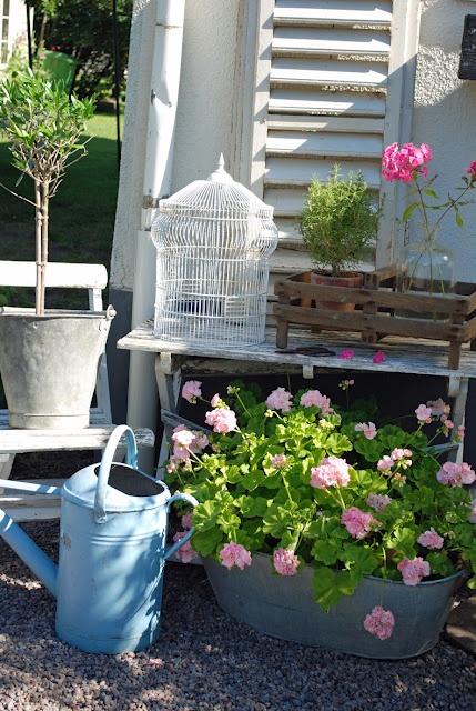 buckets and metal planters with bright pink blooms will give a bold summer yet rustic touch to your outdoor space