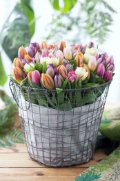 a wire basket with colorful tulips is a cool decoration or centerpiece that looks simple, cute and effortless