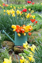place a vintage watering can with colorful tulips in your garden or on the porch to give it a spring feel at once