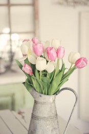 a metal galvanized jug with white and pink tulips is a nice decoration for spring, it’s bold and cool