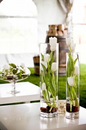 tall clear vases with pebbles and white tulips make up cool spring centerpieces for any celebrations, from parties to weddings