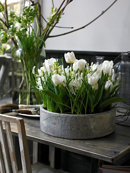 a concrete bowl with white bulbs and tulips is a bold spring decoration with a modern feel