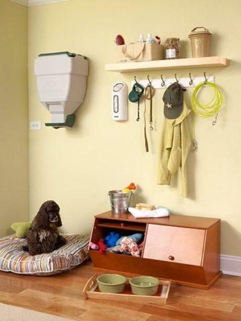 How To Organize All Your Pet Supplies Comfortably 17 Ideas DigsDigs