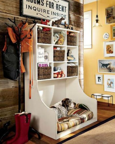Picture Of how to organize all your pet supplies comfortably ideas  4