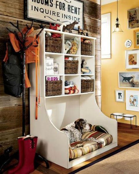 How To Organize All Your Pet Supplies Comfortably: 17 Ideas - DigsDigs