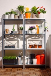 Hyllis shelves used as garden or shed storage units with pots, potted greenery and blooms, glasshouses and grass growing in a box