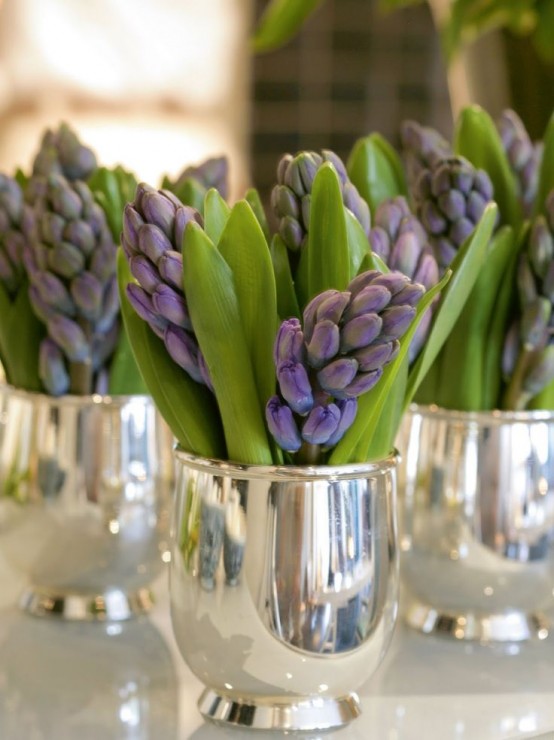 lovely silver cups with purple hyacinths are amazing for fresh and cool spring decor