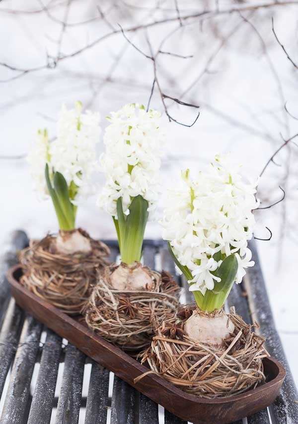 a wooden tray with hay and white hyacinths is a lovely spring decor idea to rock