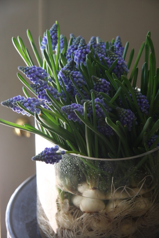 69 Hyacinths Décor Ideas To Breathe Spring In DigsDigs