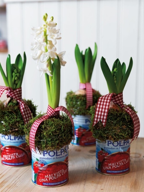 simple tin cans with moss and hyacinths and plaid ribbons is a pretty and fun idea with a modern feel that will bring a spring touch to the space