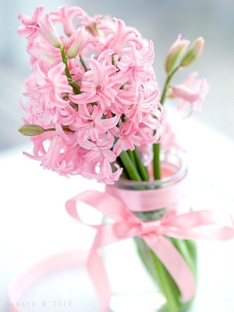 a lovely sheer vase with a pink bow and pink hyacinths is a romantic and pretty decoration for spring