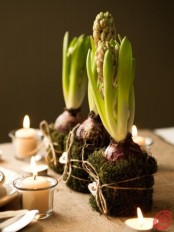 moss balls with hyacinths, twine and little wooden hearts plus candles around for a rustic and relaxed spring centerpiece