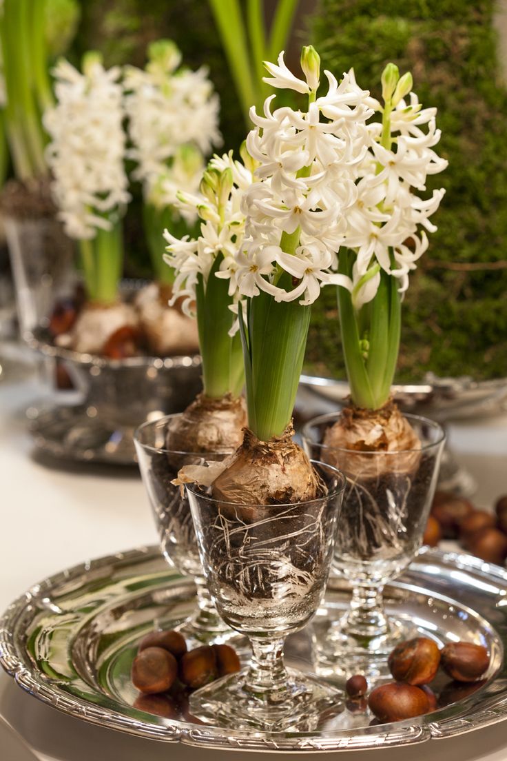 glasses with white hyacinths for a pretty and refined spring centerpiece placed on a silver tray
