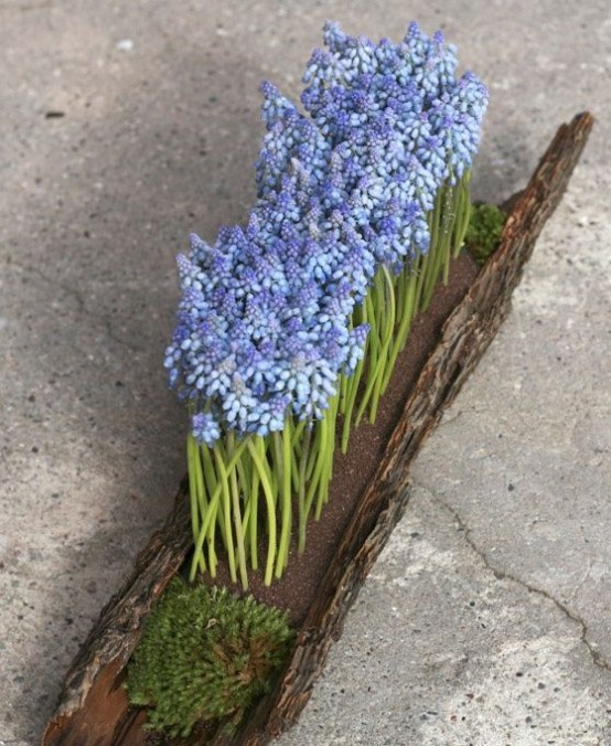 a log with moss and blue hyacinths planted is a very creative and bold spring decoration for outdoors