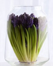 a large sheer vase with deep purple hyacinths is a pretty and cool idea for spring decor