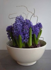 a bowl with purple hyacinths and twigs is a creative modern centerpiece that you may rock in spring