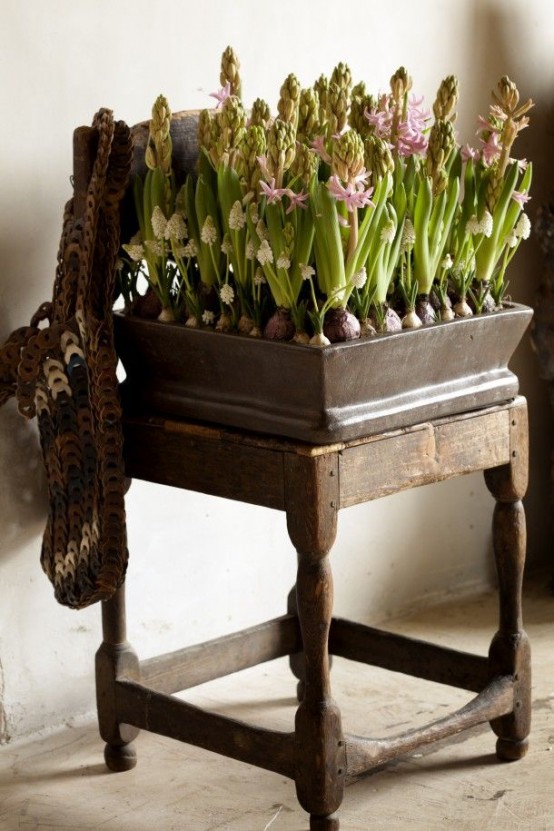 a dark stained wooden box with lots of pink and white hyacinths will be an amazing indoor or outdoor spring decoration