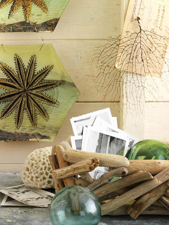 a large bowl made of driftwood to fill it with various beach and coastal stuff