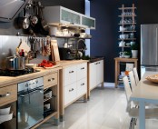 Ikea 2010 Kitchen Design Ideas