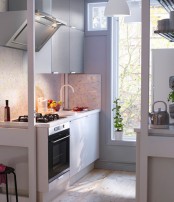 Ikea 2011 Kitchen Design Ideas