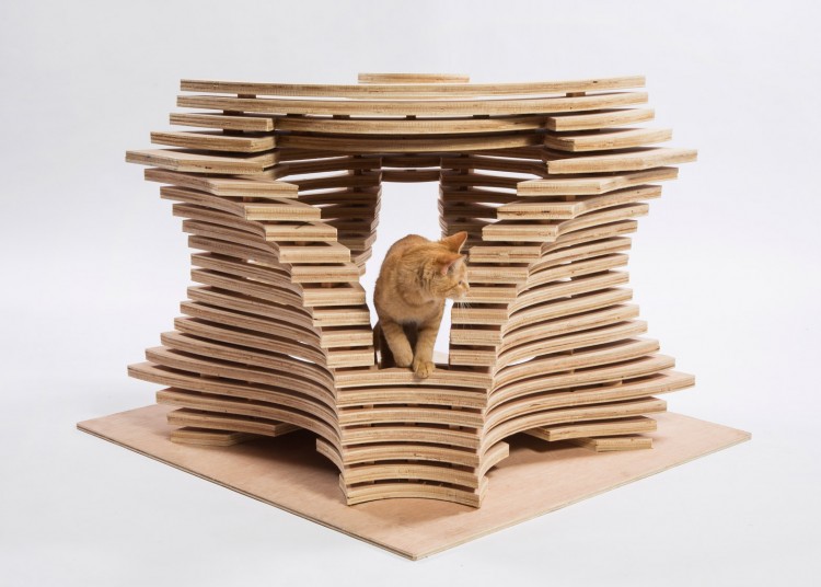 Cool cat discount playground