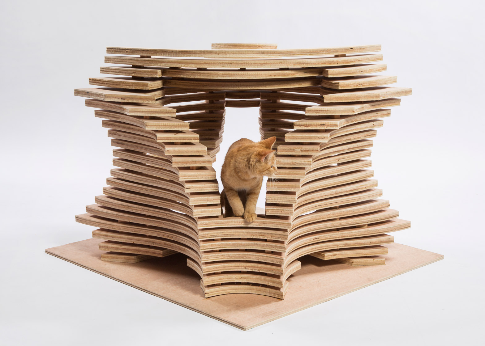 Picture Of imaginative and bold cat houses with futuristic designs  1