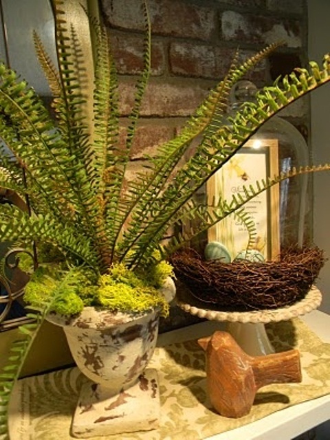 a rustic vintage mantel with potted ferns, a nest with faux eggs and a fake birdie
