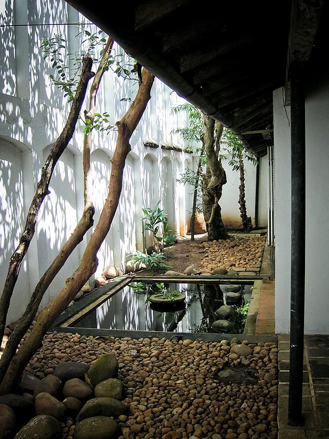 un hermoso y elegante patio con guijarros, un par de árboles y vegetación, rocas y un pong con un cuenco de piedra en el centro