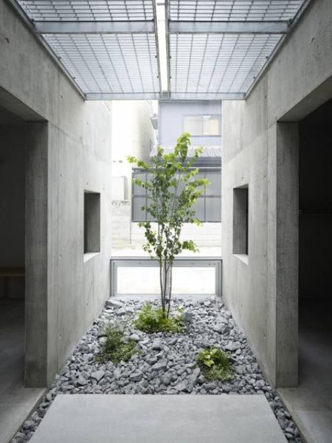 un patio japonés minimalista con guijarros, vegetación y un árbol en crecimiento es una idea hermosa