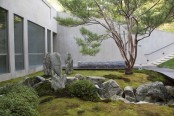 a Japanese garden with moss, greenery, rocks and a single tree in the center with much natural light
