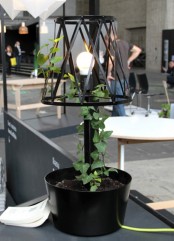 Lamp With A Potted Plant To Bring Green To Your Interior