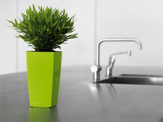 Lechuza Modern Self Watering Planters