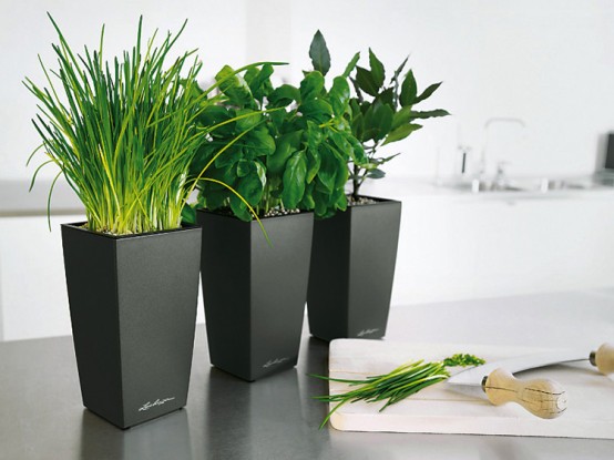 Lechuza Modern Self Watering Planters