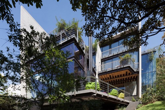 Living Amidst The Forest: Glazed Tepozcuautla House