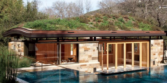 Living Roof Design A Real Rooftop Oasis