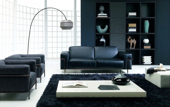 living room natuzzi frank