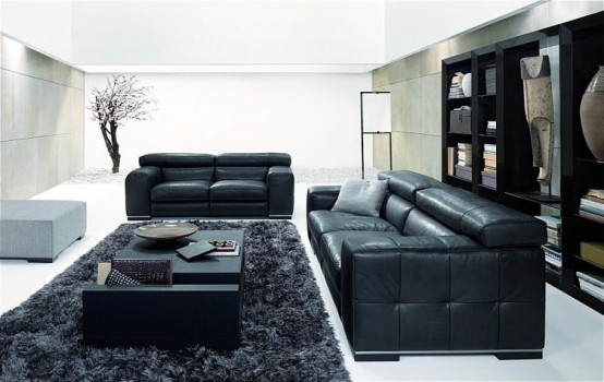 living room natuzzi nicolaus