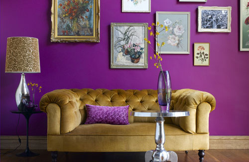 Living Room With Purple Walls