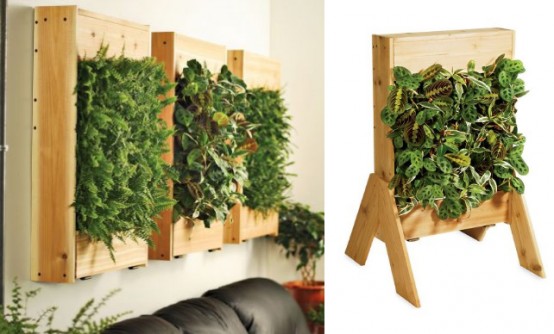 livingroom planter