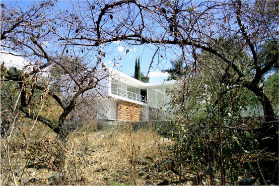 Los Amates Modern House In Mexico