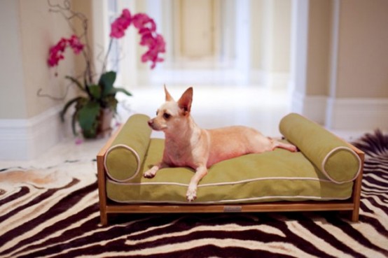 Luxurious Furniture For Spoilt Pets