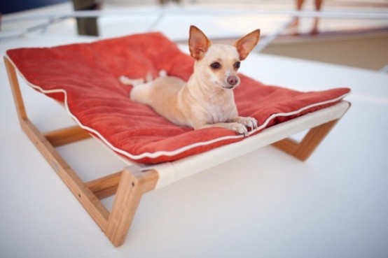 Luxurious Furniture For Spoilt Pets