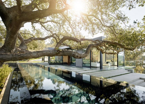 Luxurious Glazed Home In A Slope Of An Oak Grove